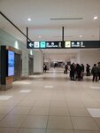 10122024_Samsung Smartphone Galaxy S10 Plus_28 round to Hokkaido_New Chitose International Airport00004