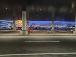 10122024_Samsung Smartphone Galaxy S10 Plus_28 round to Hokkaido_New Chitose International Airport00007