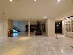 11122024_Samsung Smartphone Galaxy S10 Plus_28 round to Hokkaido_Asahikawa Art Hotel00010