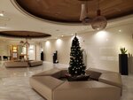 11122024_Samsung Smartphone Galaxy S10 Plus_28 round to Hokkaido_Asahikawa Art Hotel00018