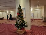 11122024_Samsung Smartphone Galaxy S10 Plus_28 round to Hokkaido_Asahikawa Art Hotel00034
