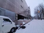 11122024_Samsung Smartphone Galaxy S10 Plus_28 round to Hokkaido_Kamikawa Dongu Jinja00003
