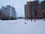 11122024_Samsung Smartphone Galaxy S10 Plus_28 round to Hokkaido_Kamikawa Dongu Jinja00006