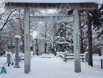 11122024_Samsung Smartphone Galaxy S10 Plus_28 round to Hokkaido_Kamikawa Dongu Jinja00043