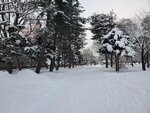 11122024_Samsung Smartphone Galaxy S10 Plus_28 round to Hokkaido_Kamikawa Dongu Jinja00048