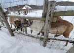 11122024_Samsung Smartphone Galaxy S10 Plus_28 round to Hokkaido_Teshiogun_Horonobecho_Tonakai Kanko Makiba00010