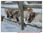 11122024_Samsung Smartphone Galaxy S10 Plus_28 round to Hokkaido_Teshiogun_Horonobecho_Tonakai Kanko Makiba00024