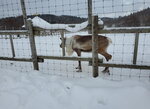 11122024_Samsung Smartphone Galaxy S10 Plus_28 round to Hokkaido_Teshiogun_Horonobecho_Tonakai Kanko Makiba00031