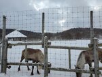11122024_Samsung Smartphone Galaxy S10 Plus_28 round to Hokkaido_Teshiogun_Horonobecho_Tonakai Kanko Makiba00033
