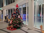 11122024_Samsung Smartphone Galaxy S10 Plus_28 round to Hokkaido_Wakkanai JR Eki00010
