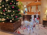 11122024_Samsung Smartphone Galaxy S10 Plus_28 round to Hokkaido_Wakkanai Surfeel Hotel(Formly ANA Hotel)00016