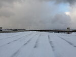 12122024_Samsung Smartphone Galaxy S10 Plus_28 round to Hokkaido_Noshappu Misaki00003