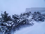 12122024_Samsung Smartphone Galaxy S10 Plus_28 round to Hokkaido_Wakkanai_Surfeel Hotel Morning00022