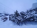 12122024_Samsung Smartphone Galaxy S10 Plus_28 round to Hokkaido_Wakkanai_Surfeel Hotel Morning00023