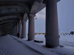 12122024_Samsung Smartphone Galaxy S10 Plus_28 round to Hokkaido_Wakkanai Morning_Kita Bohatei Domu00020