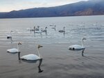 13122024_Samsung Smartphone Galaxy S10 Plus_28 round to Hokkaido_Kussharoko Sanayu00028