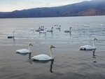13122024_Samsung Smartphone Galaxy S10 Plus_28 round to Hokkaido_Kussharoko Sanayu00029