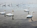 13122024_Samsung Smartphone Galaxy S10 Plus_28 round to Hokkaido_Kussharoko Sanayu00031