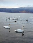 13122024_Samsung Smartphone Galaxy S10 Plus_28 round to Hokkaido_Kussharoko Sanayu00032