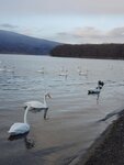13122024_Samsung Smartphone Galaxy S10 Plus_28 round to Hokkaido_Kussharoko Sanayu00033