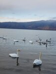 13122024_Samsung Smartphone Galaxy S10 Plus_28 round to Hokkaido_Kussharoko Sanayu00035