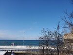 13122024_Samsung Smartphone Galaxy S10 Plus_28 round to Hokkaido_Shiretoko Oshinkoshin Takis00002