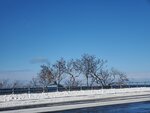 13122024_Samsung Smartphone Galaxy S10 Plus_28 round to Hokkaido_Shiretoko Oshinkoshin Takis00006