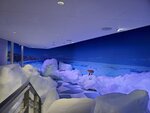 13122024_Samsung Smartphone Galaxy S10 Plus_28 round to Hokkaido_Tentozan Ryuhyokan00002
