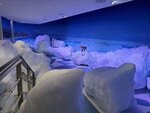 13122024_Samsung Smartphone Galaxy S10 Plus_28 round to Hokkaido_Tentozan Ryuhyokan00003