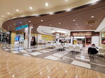 16122024_Samsung Smartphone Galaxy S10 Plus_28 round to Hokkaido_Mitsui Outlet Park00084