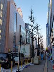 16122024_Samsung Smartphone Galaxy S10 Plus_28 round to Hokkaido_Susukino Morning00159