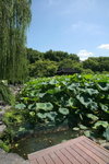 14072009_華東之旅_杭州西湖八景_荷塘00001