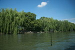 14072009_華東之旅_杭州西湖八景00033
