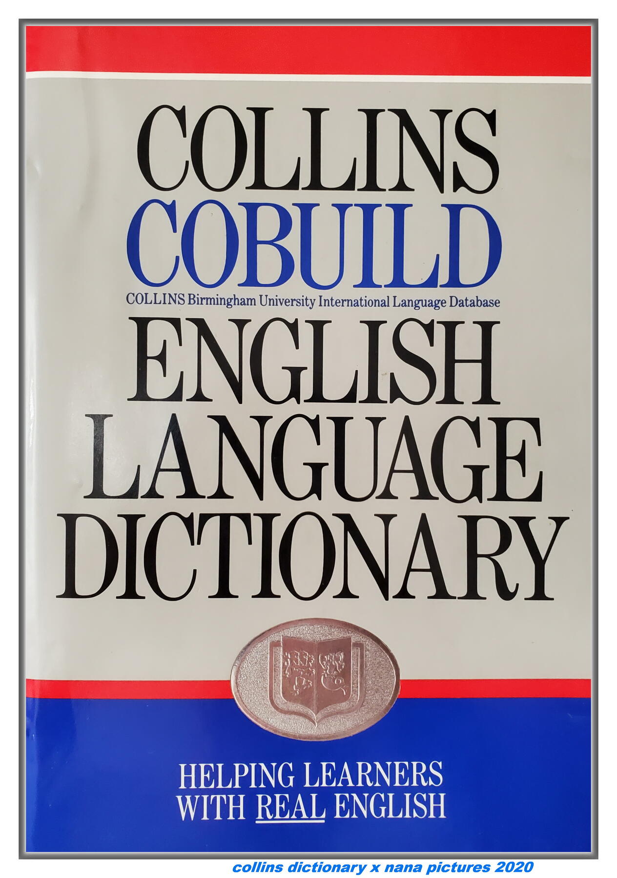 pidgin english dictionary