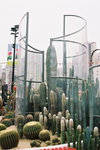 14032008_Hong Kong Flower Show_Contax Film00005