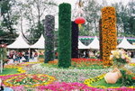 14032008_Hong Kong Flower Show_Contax Film00008