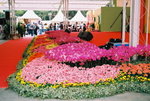 14032008_Hong Kong Flower Show_Contax Film00035