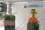 14032008_Hong Kong Flower Show_Orchid00016