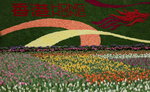 10032016_Hong Kong Flower Show 2016_Flower Gallery00026