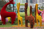 10032016_Hong Kong Flower Show 2016_Flower Gallery00027