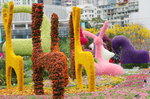 10032016_Hong Kong Flower Show 2016_Flower Gallery00028