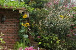 10032016_Hong Kong Flower Show 2016_Flower Gallery00038