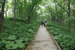 19072024_27th round to Hokkaido_Kushiro Shitsugen National Park00004