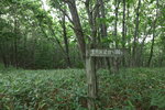 19072024_27th round to Hokkaido_Kushiro Shitsugen National Park00009