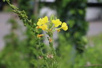 19072024_27th round to Hokkaido_Tokachi_Makubetsu Onsen Grandvrio Hotel Morning00033