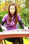 11032016_Hong Kong Flower Show_Guzheng Performer_ Nicole Ng00002
