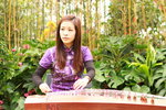 11032016_Hong Kong Flower Show_Guzheng Performer_ Nicole Ng00007