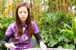 11032016_Hong Kong Flower Show_Guzheng Performer_ Nicole Ng00008