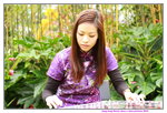 11032016_Hong Kong Flower Show_Guzheng Performer_ Nicole Ng00010
