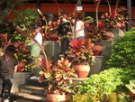 17112007_H K Flower Club Members at Tso Wo Hang Gathering00038